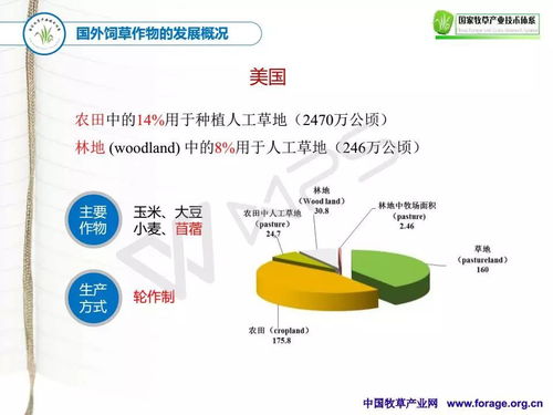 十三五期间国家牧草产业技术体系网络系统工程技术的创新与发展